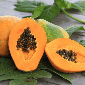 Papayas (Papita)