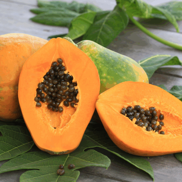 Papayas (Papita)