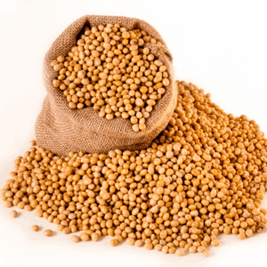 Soyabeans
