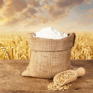 Wheat (Gehun)